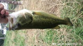 �֥�å��Х�