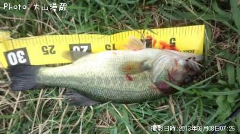 �֥�å��Х�