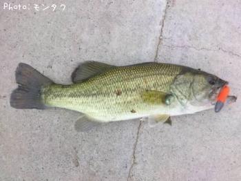 �֥�å��Х�