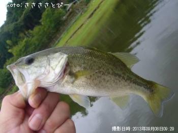 �֥�å��Х�������