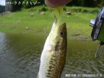 �֥�å��Х�������