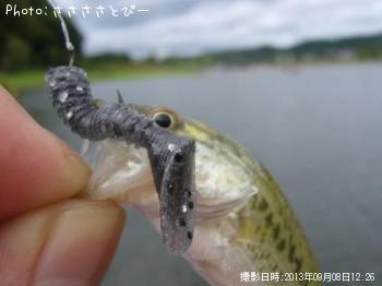 �֥�å��Х�������