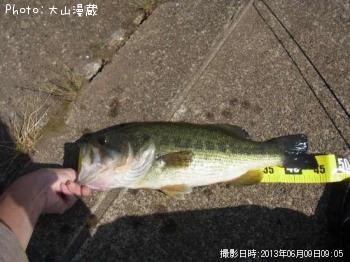 ¥Ö¥é¥Ã¥¯¥Ð¥¹