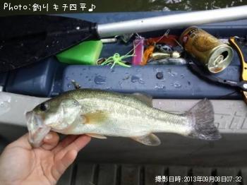 �֥�å��Х�