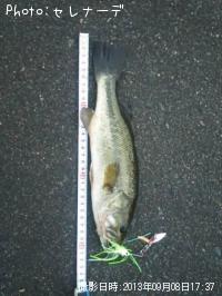 ¥Ö¥é¥Ã¥¯¥Ð¥¹