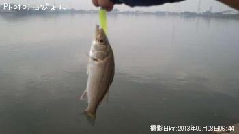 �����Х�