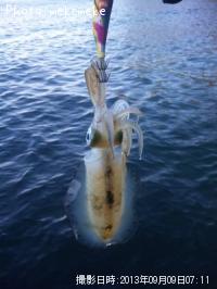 �����ꥤ��