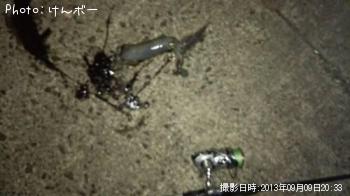 �����ꥤ��