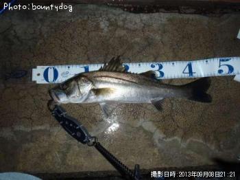 �����Х�