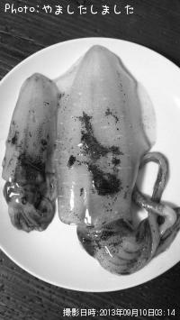 �����ꥤ��