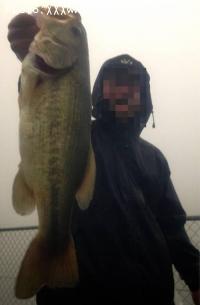 ¥Ö¥é¥Ã¥¯¥Ð¥¹