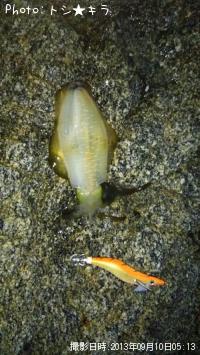 �����ꥤ��