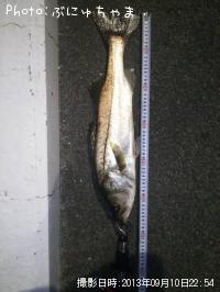 �����Х�