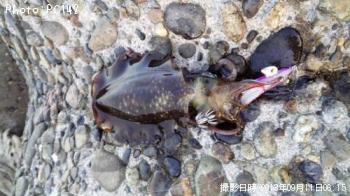 ¥¢¥ª¥ê¥¤¥«