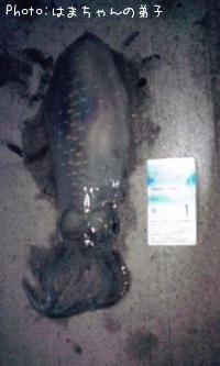 �����ꥤ��