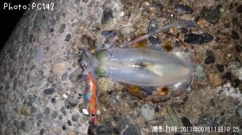 �����ꥤ��