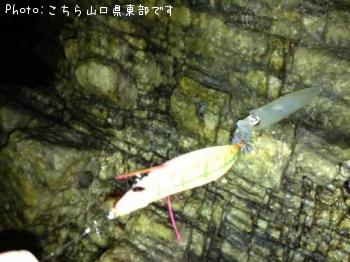 ���󥵥�����