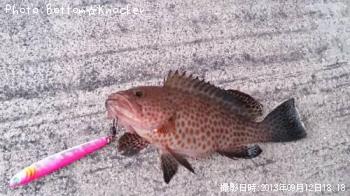 �������ϥ�