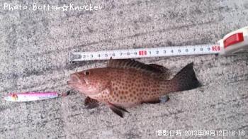 �������ϥ�