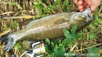 ���⡼��ޥ����Х�