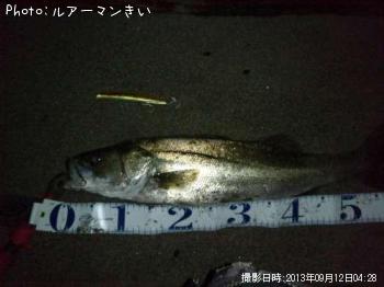 �����Х�