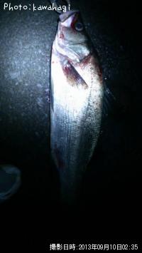 �ҥ饹����