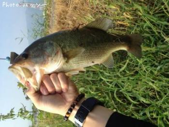 �֥�å��Х�