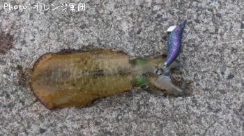 �����ꥤ��