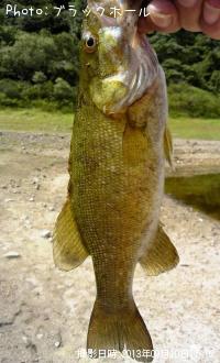 ¥¹¥â¡¼¥ë¥Ð¥¹