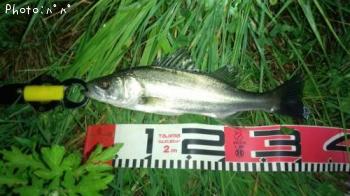 �����Х�