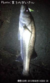 �����Х�