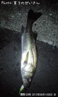 �����Х�