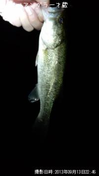 ¥Ö¥é¥Ã¥¯¥Ð¥¹