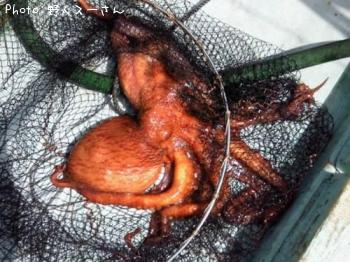 �ߥ�����