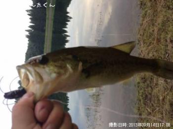 �֥�å��Х�