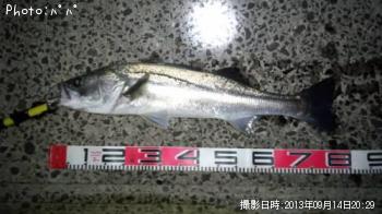 �����Х�