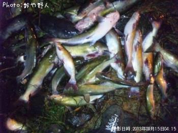 ����åȥե��å���