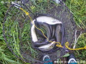 ¥¥ã¥Ã¥È¥Õ¥£¥Ã¥·¥å