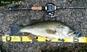 �֥�å��Х�