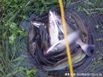 ����åȥե��å���