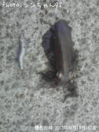 �����ꥤ��