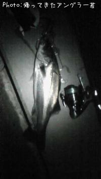 �����Х�