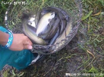 ����åȥե��å���