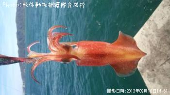 ���󥵥�����