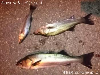 �����Х�