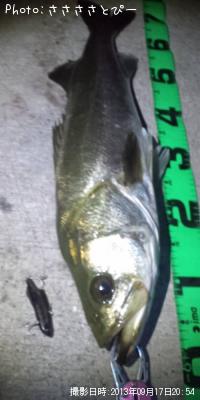 �����Х�