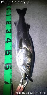 �����Х�