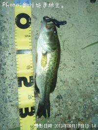 �֥�å��Х�