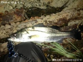 �����Х�