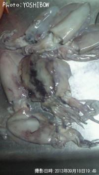 �����ꥤ��